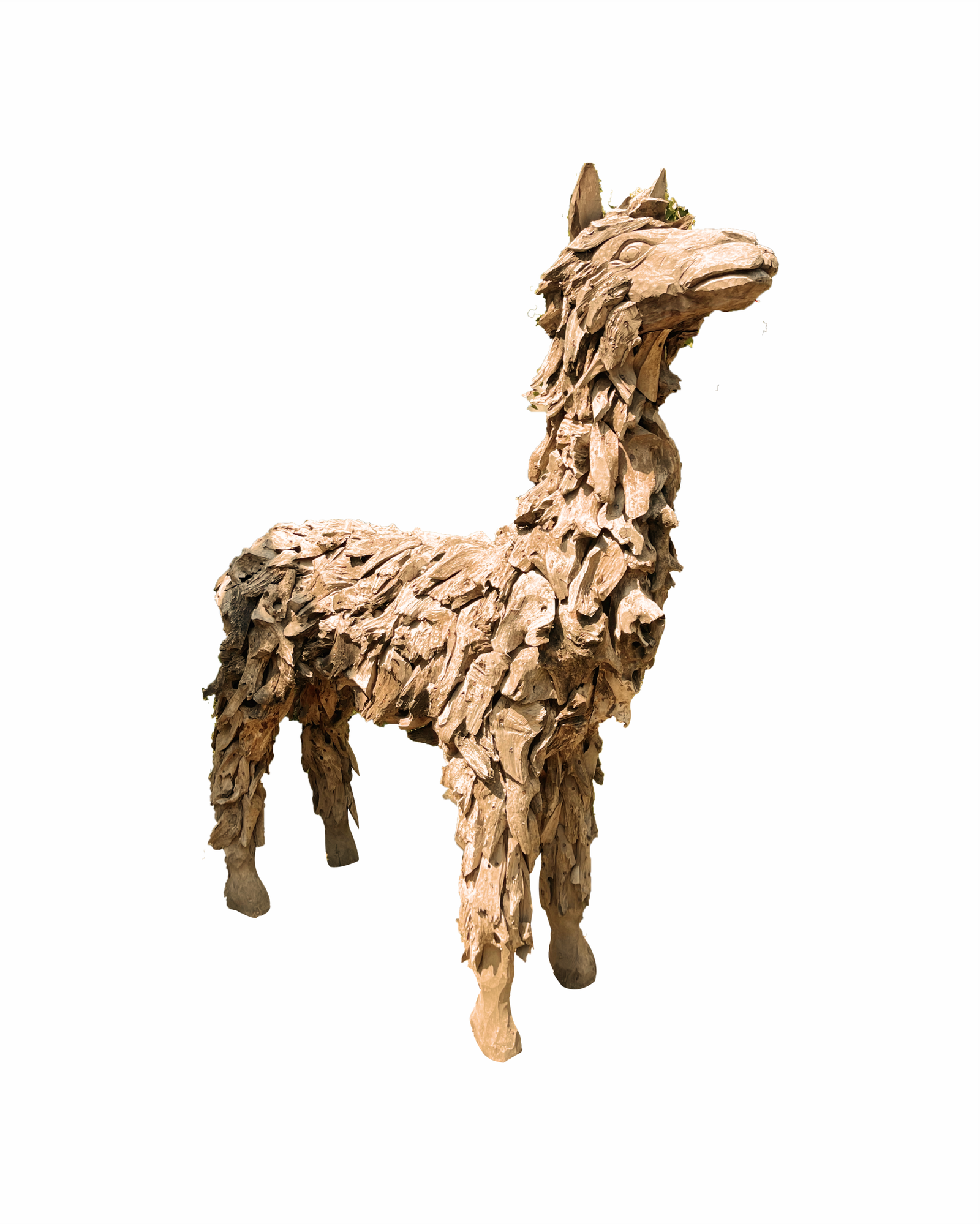 ALPACA