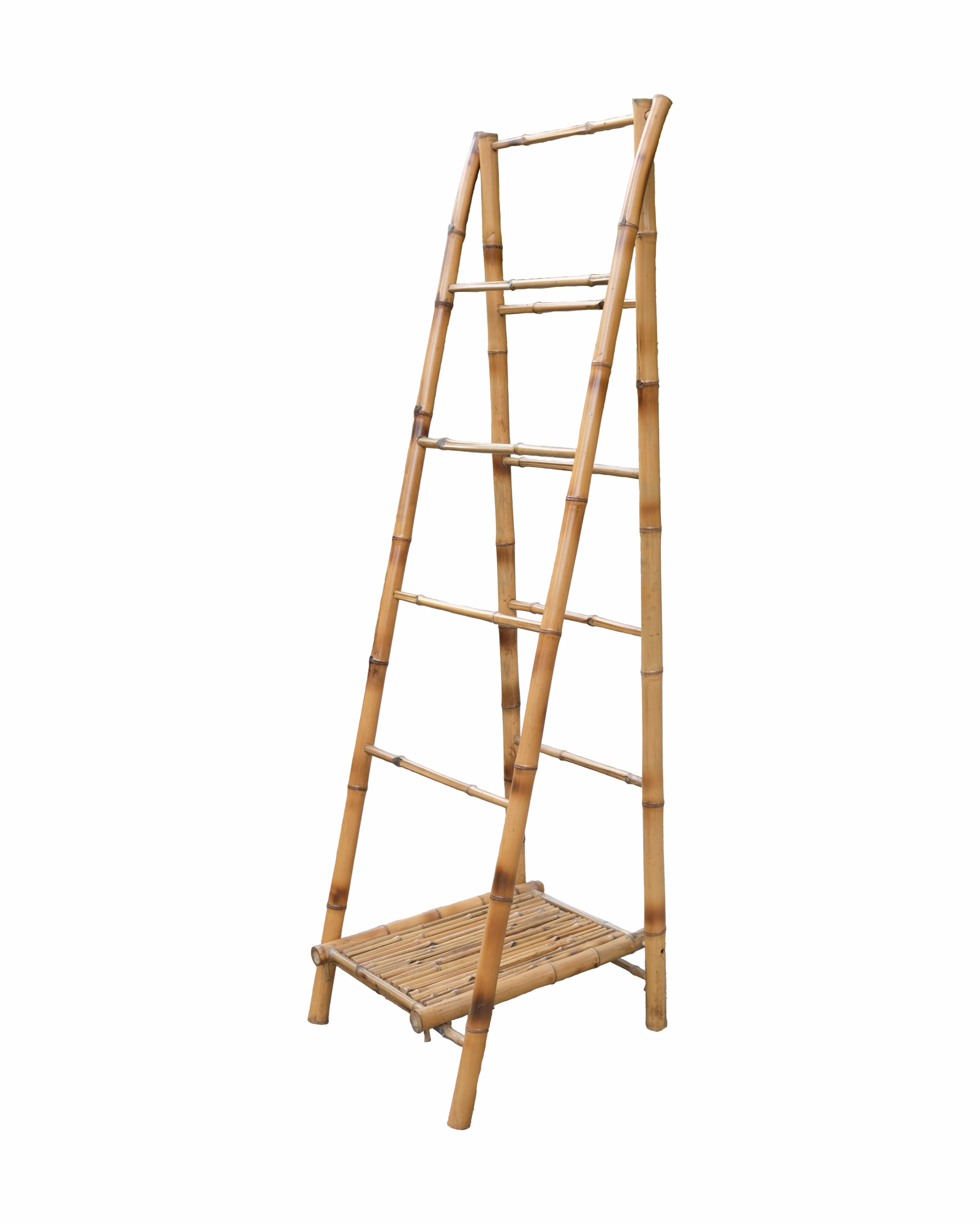 BAMBOO 3
