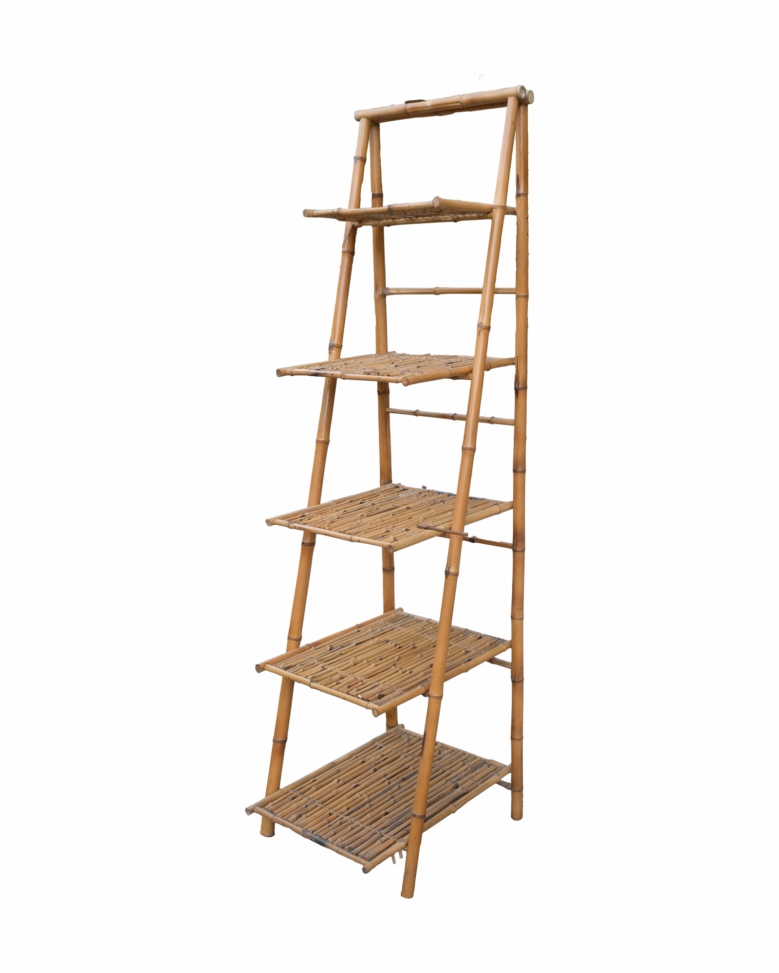 BAMBOO 4