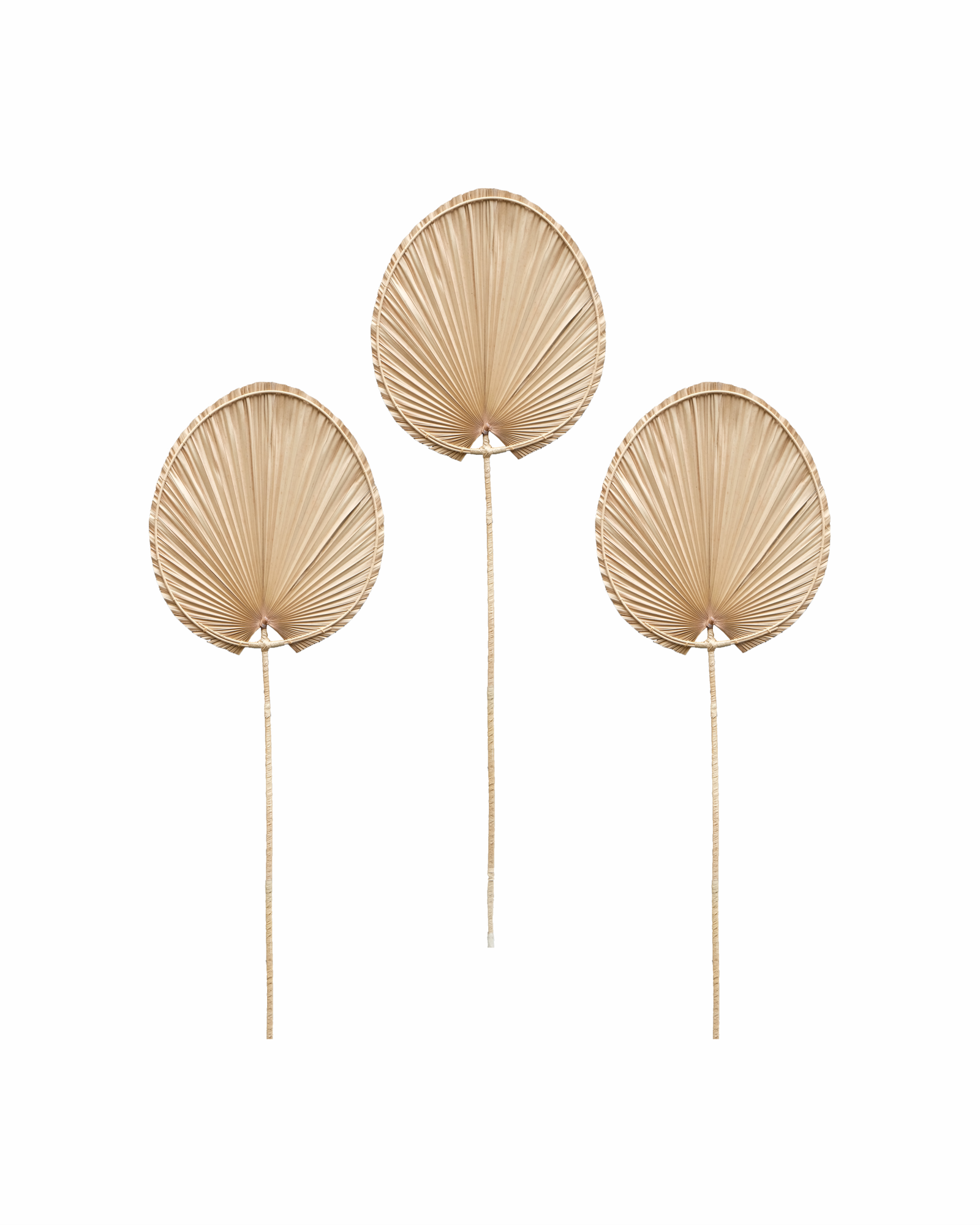 BAMBOO BOHO 2