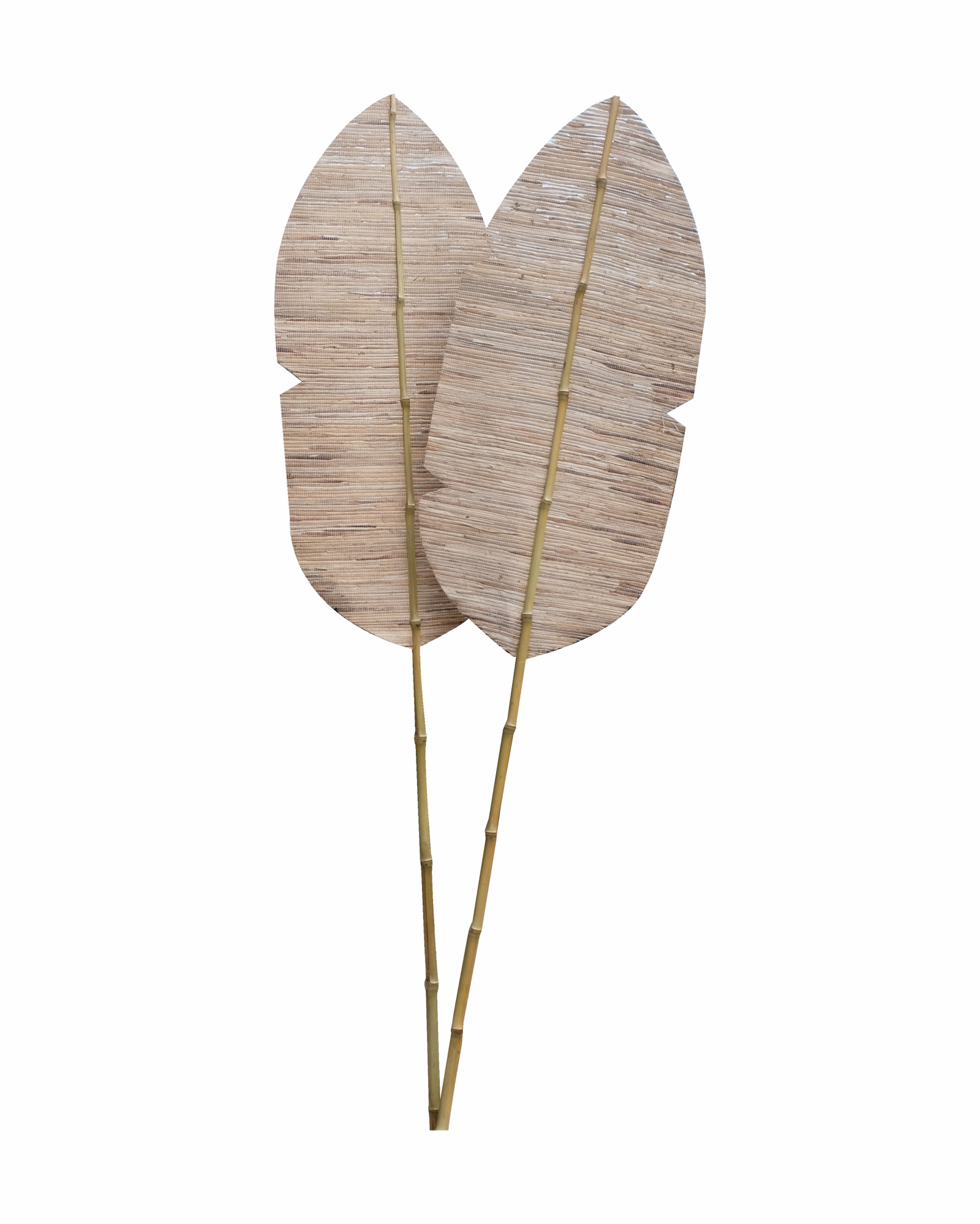 BAMBOO BOHO
