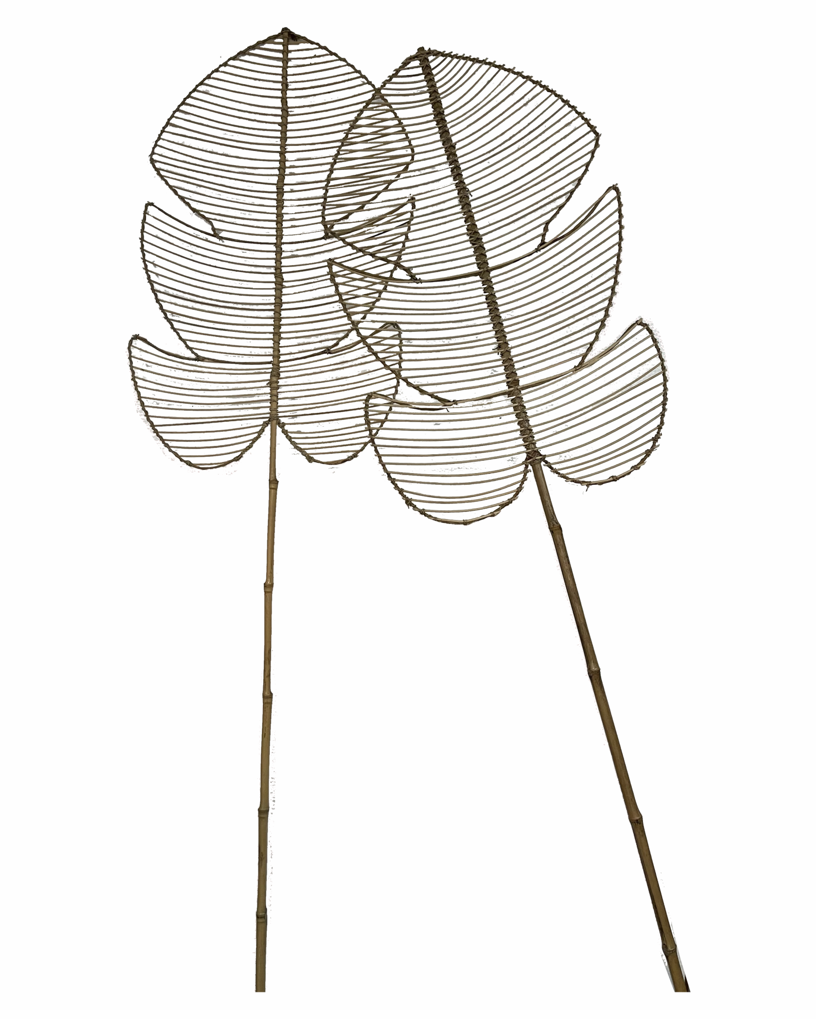 BOHO - 021