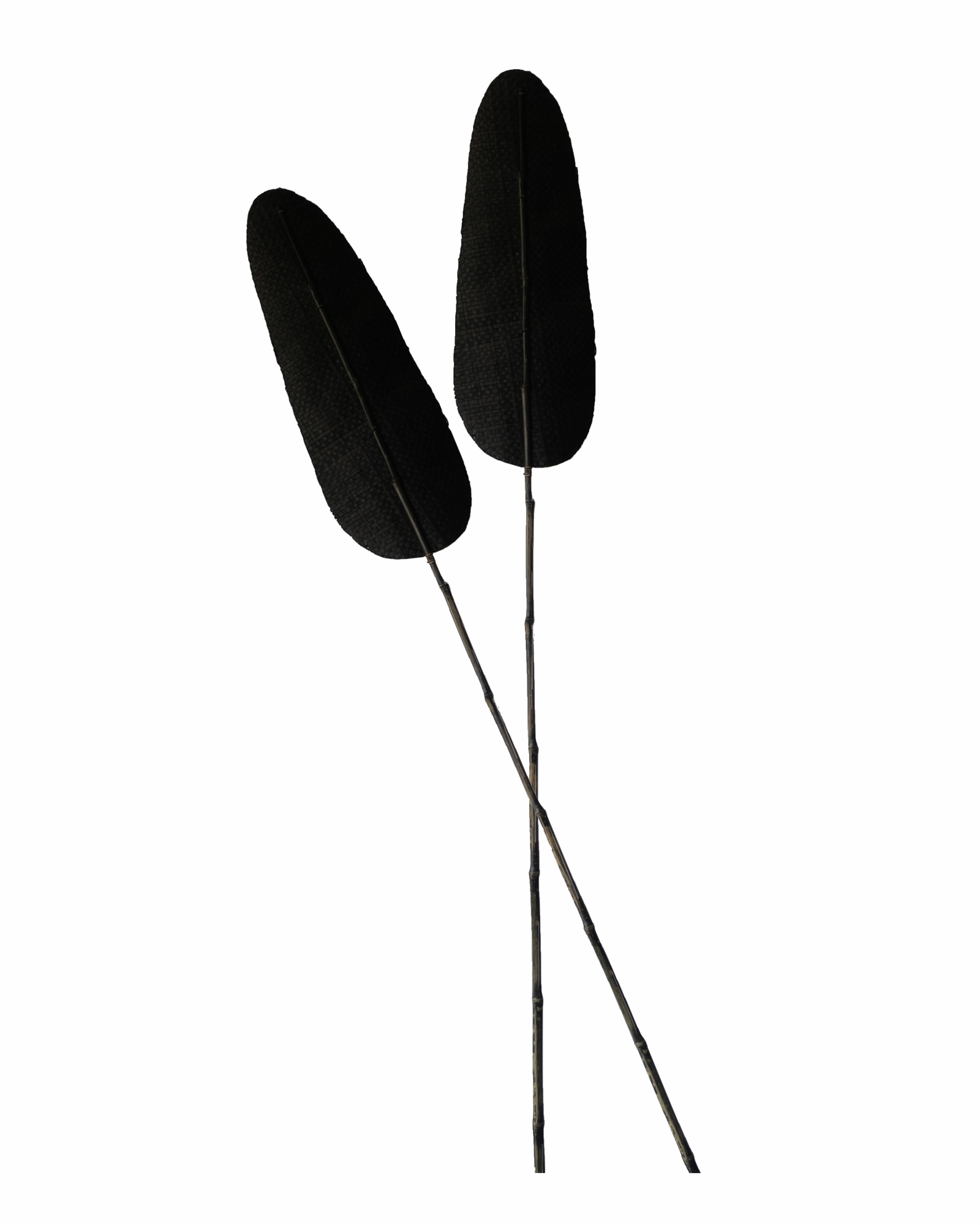 BOHO - 028 BLACK