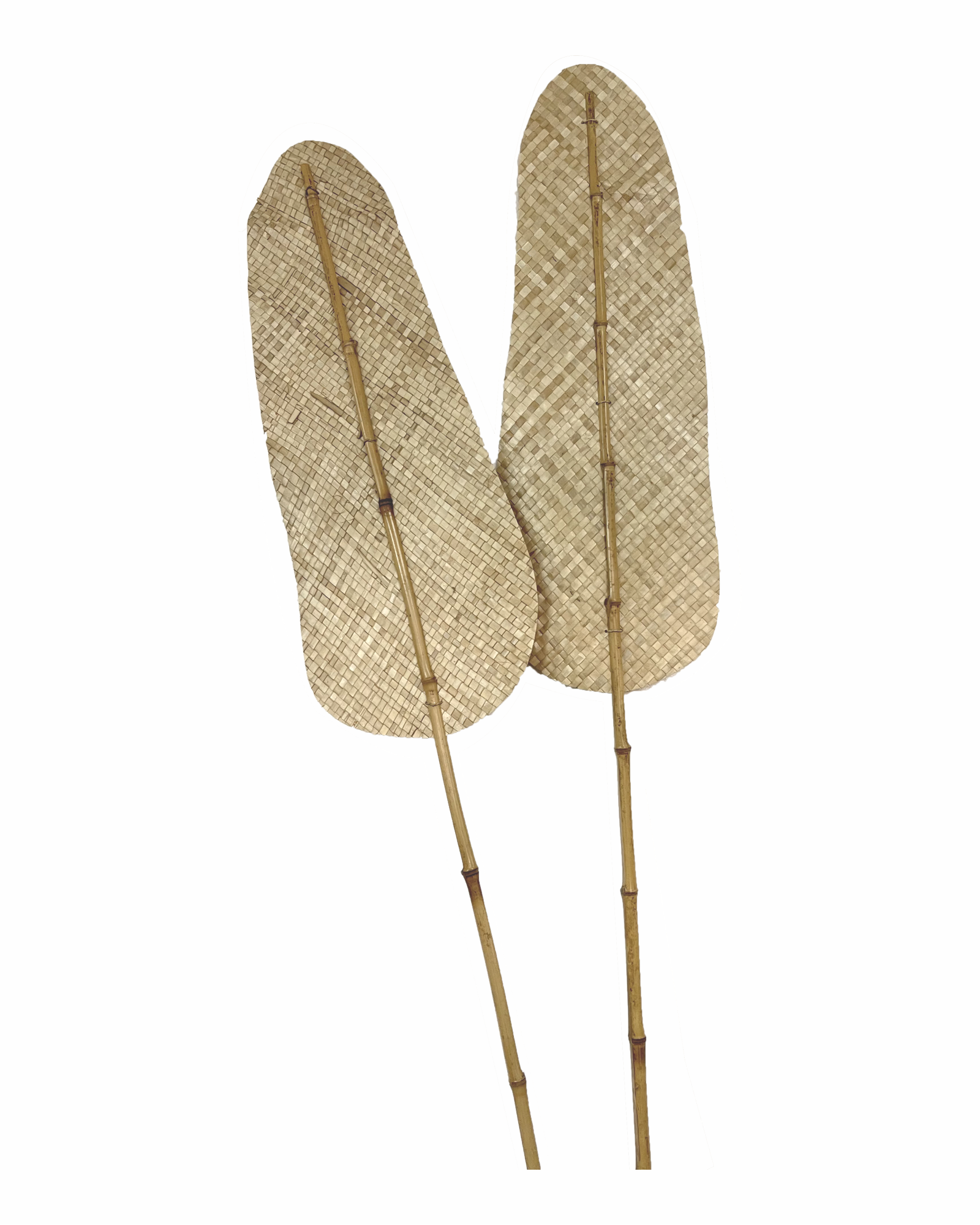BOHO - 028
