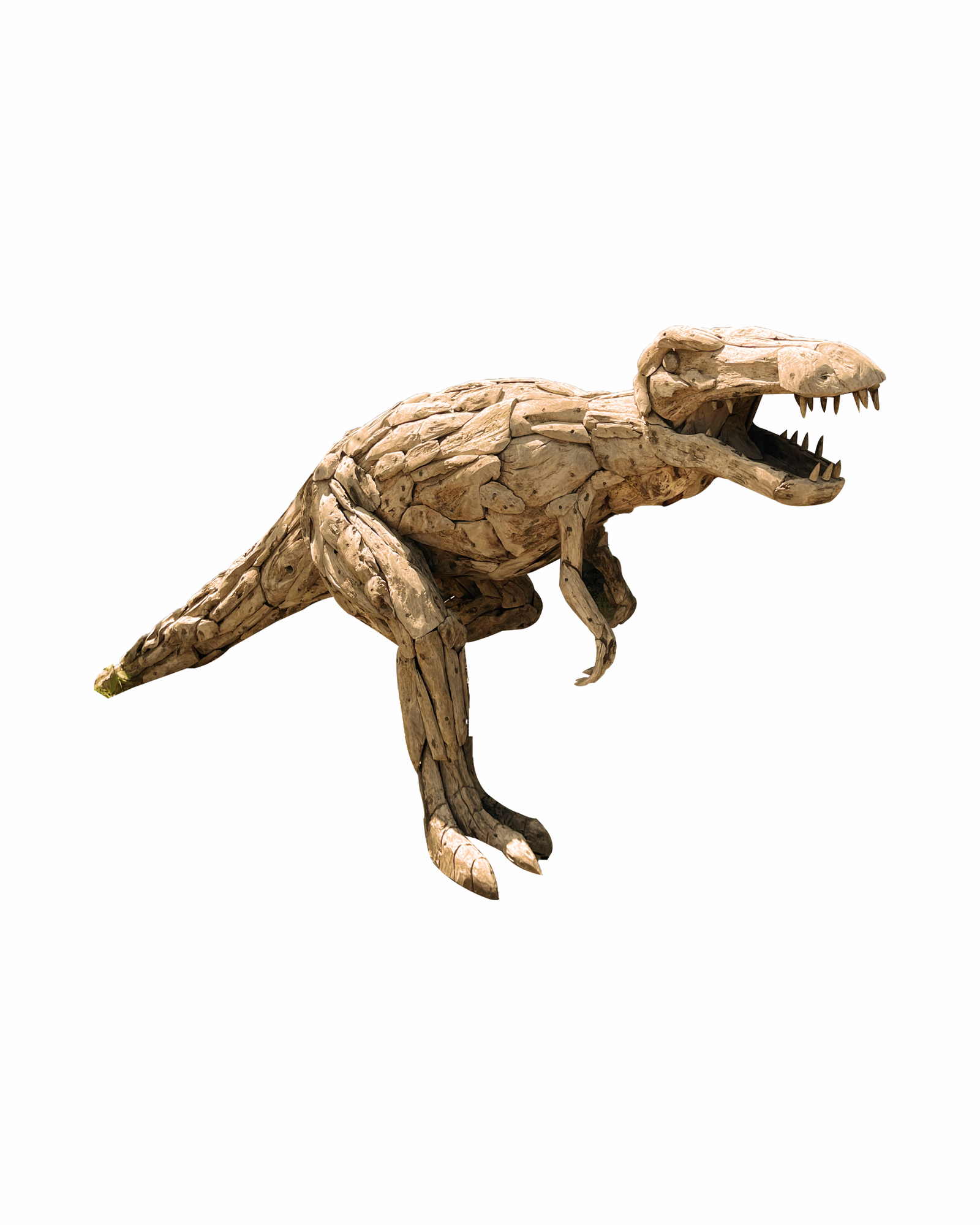 DINOSAURUS