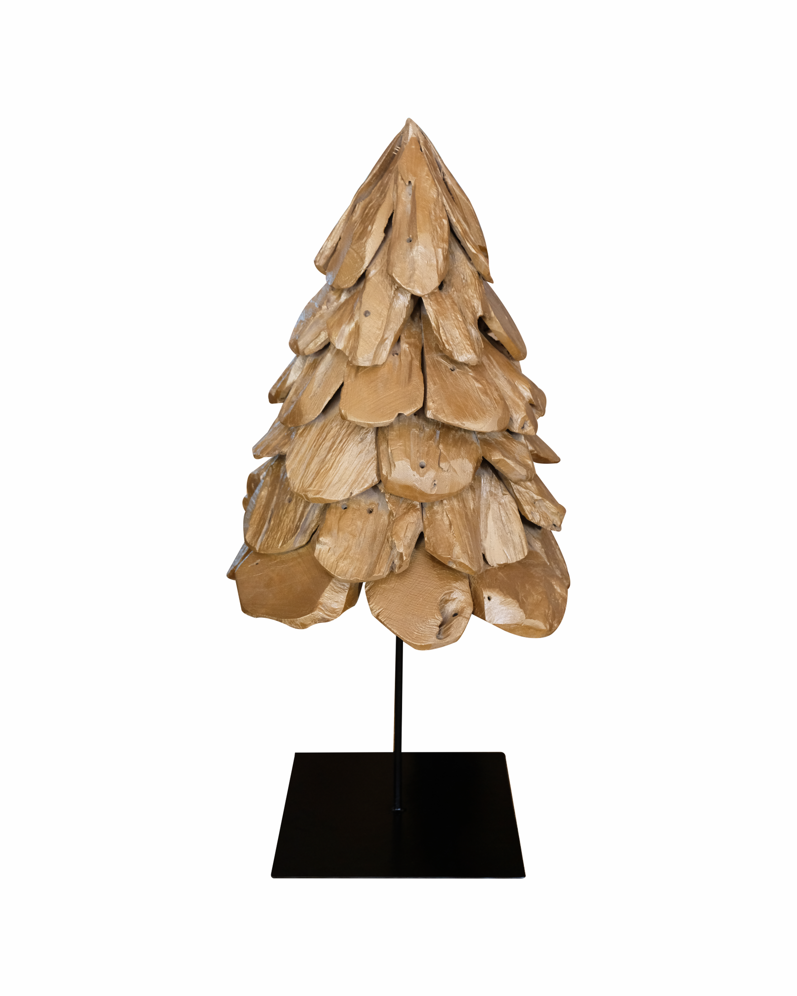 GOLD PINE 1