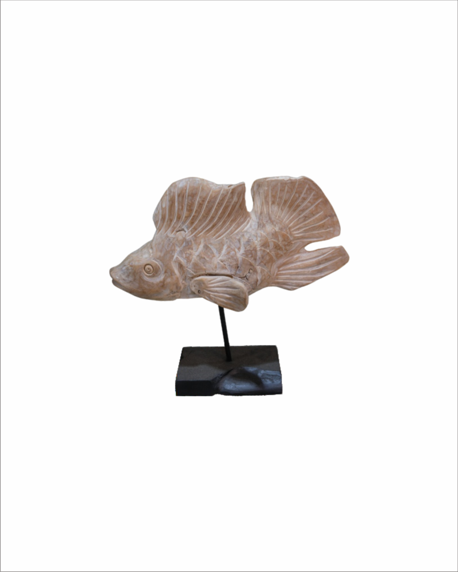 KOI