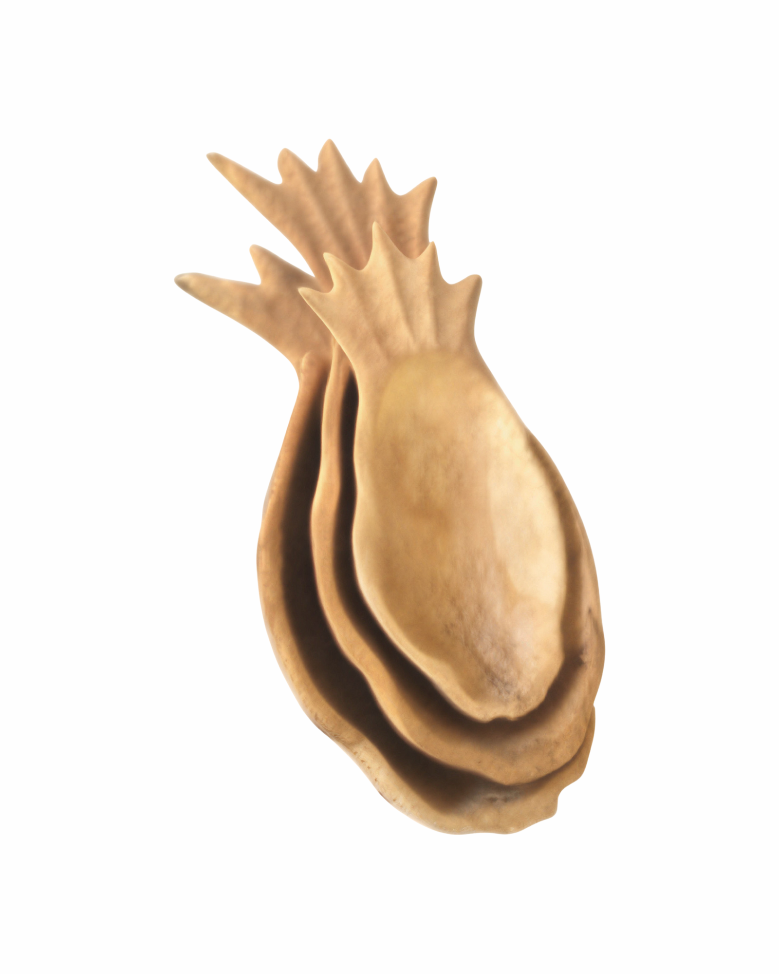 NACO