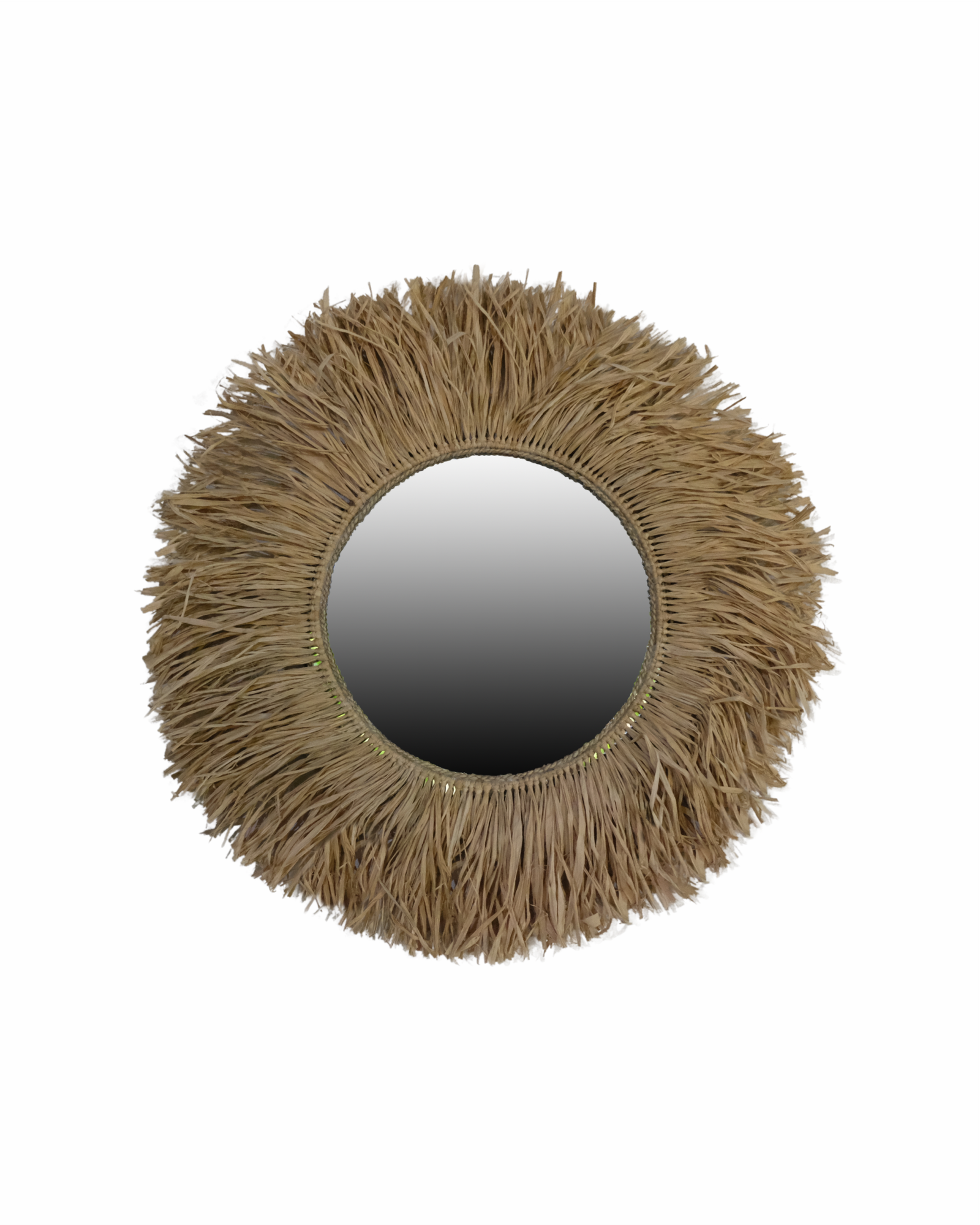 PALM MIRROR
