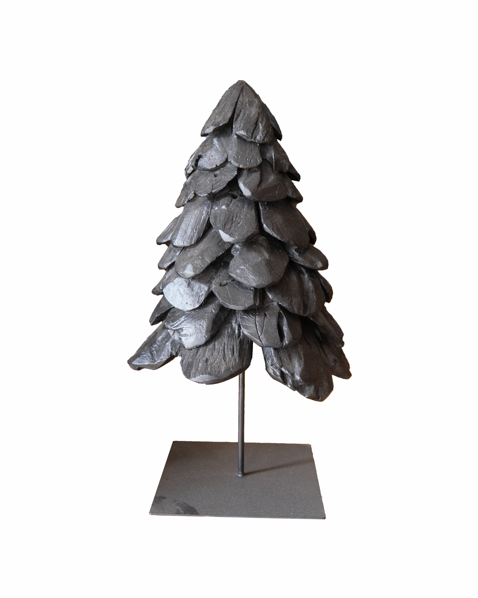 PINE 1 BLACK TREE