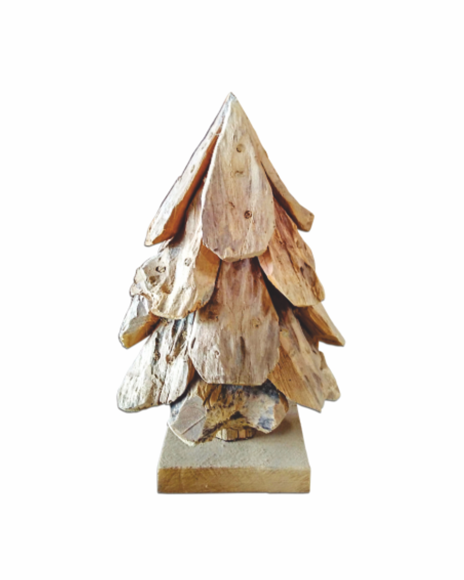 PINE 1
