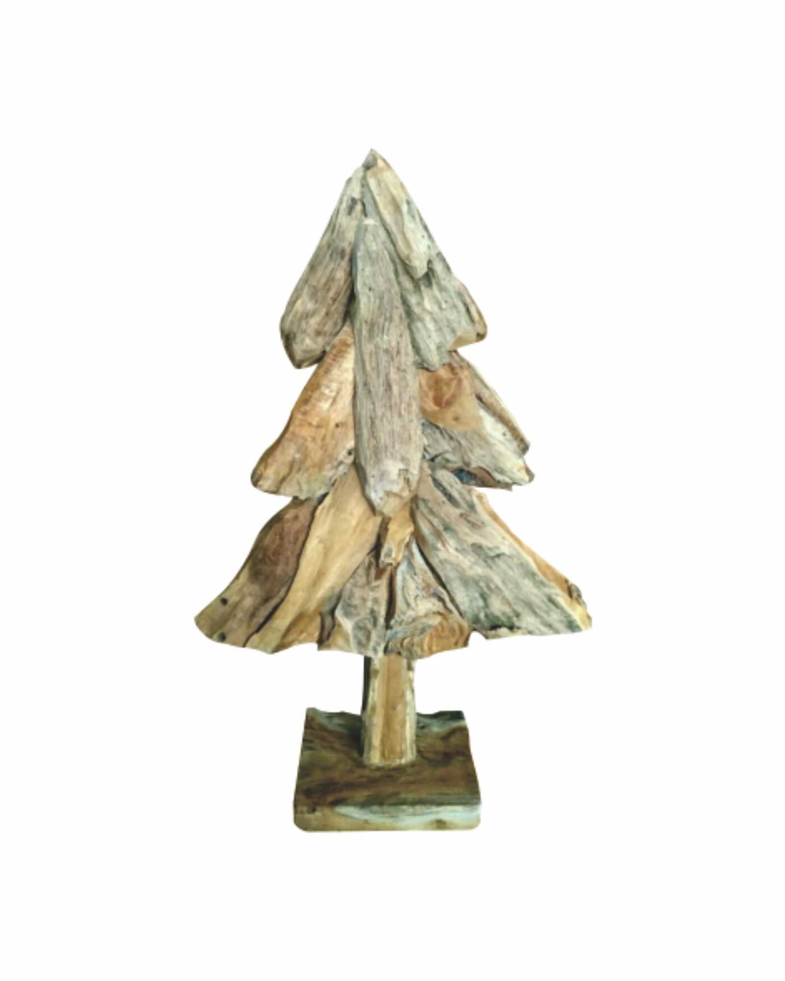 PINE 2