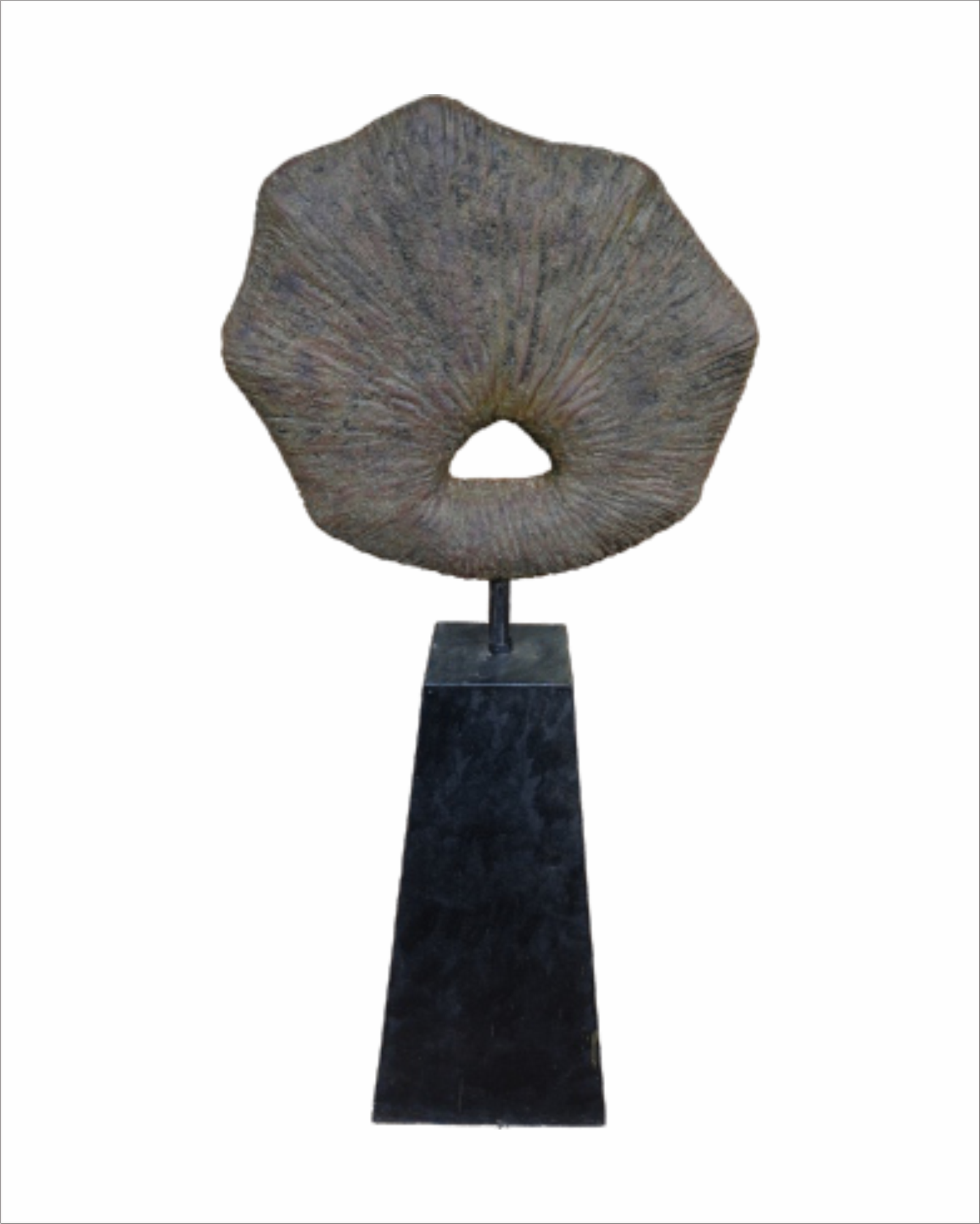 PLONG STANDING