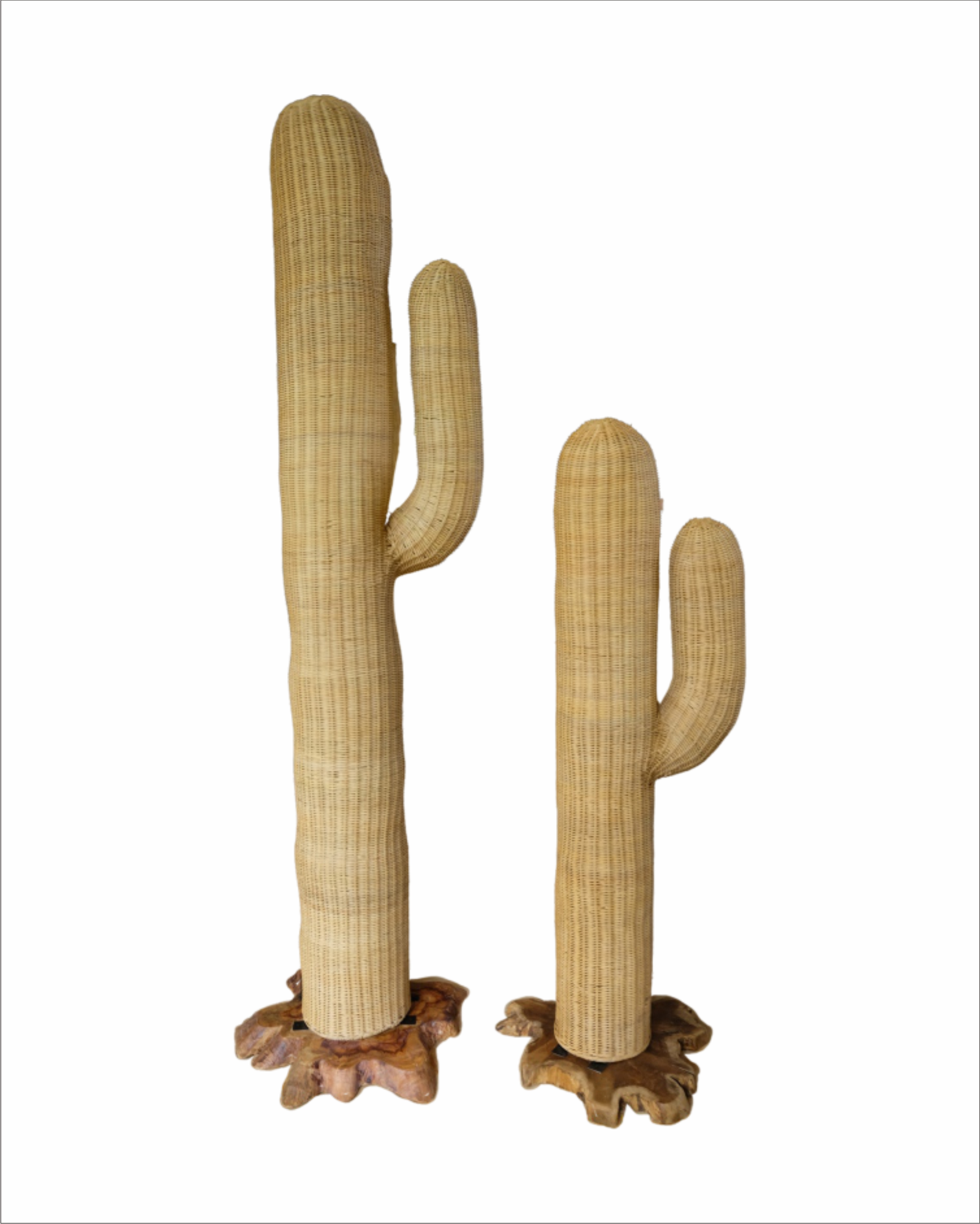 RATTAN CACTUS