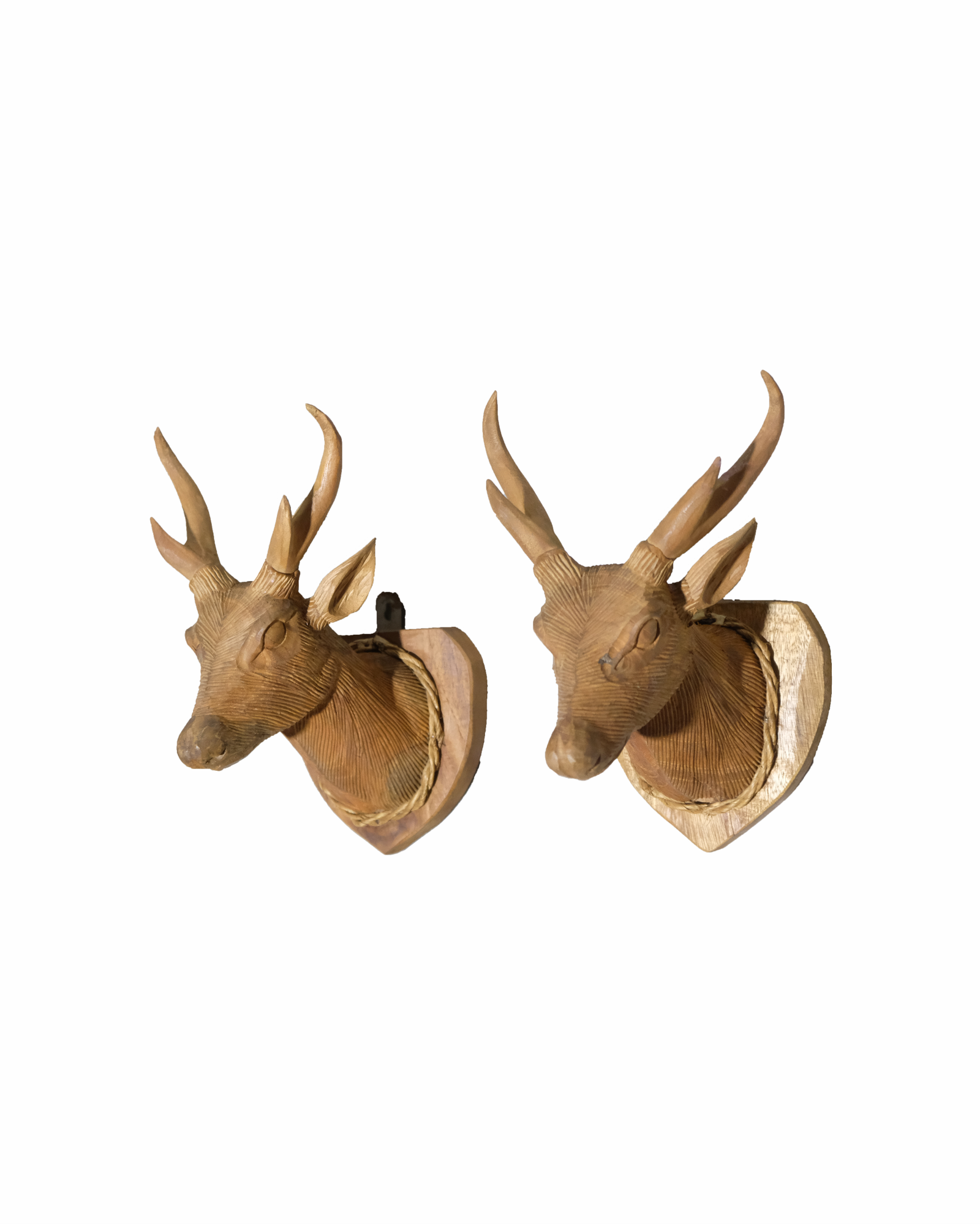 RUSA