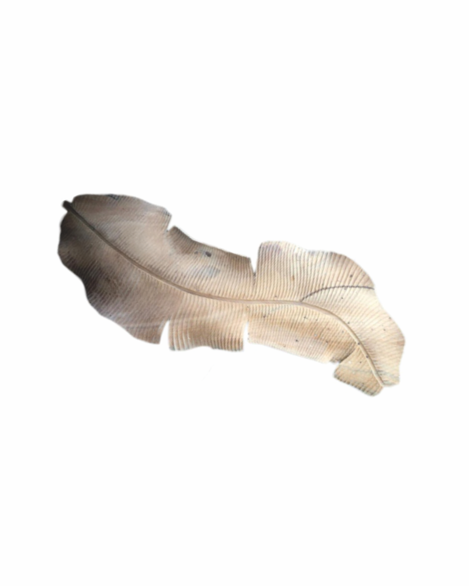 WAVE LEAF 2