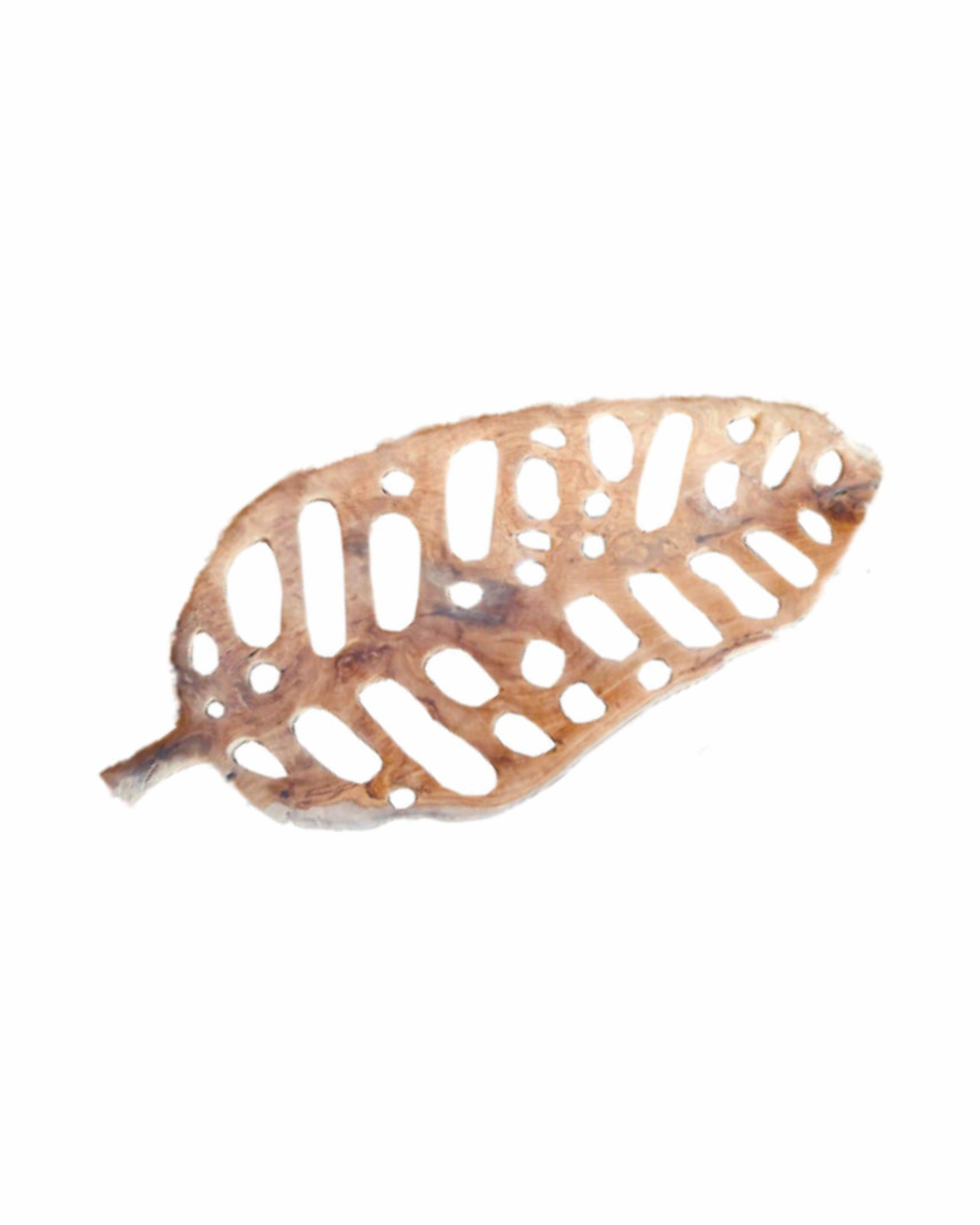 WAVE LEAF